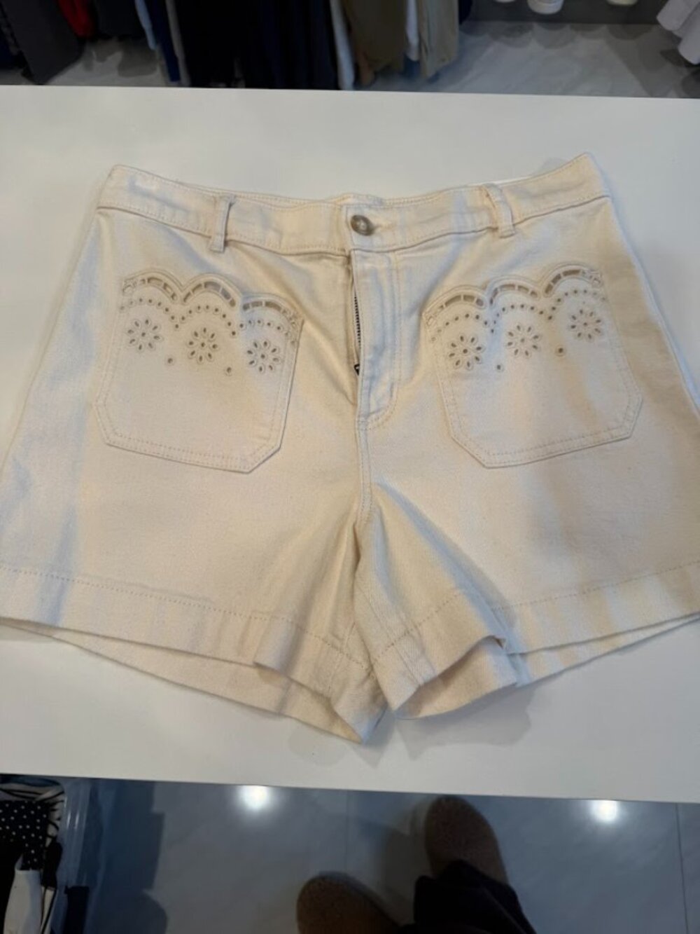 NWT LOFT Ivory Shorts with Embroidered Detail | Size 28W